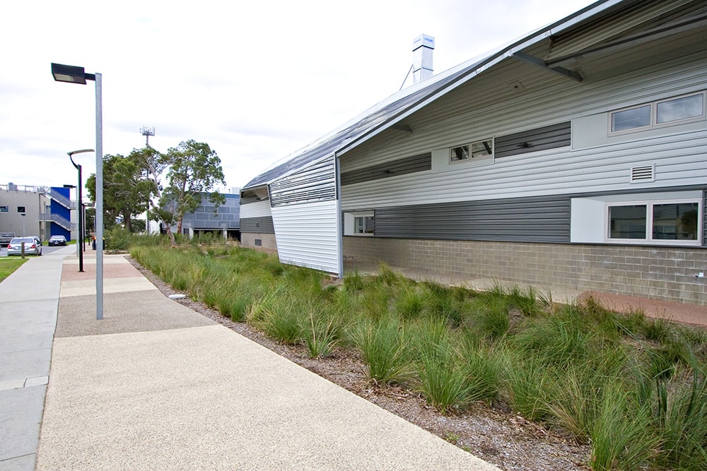 Chisholm TAFE, Dandenong Australian Native Landscapes (ANL) Chisholm TAFE, Dandenong Australian Native Landscapes (ANL)